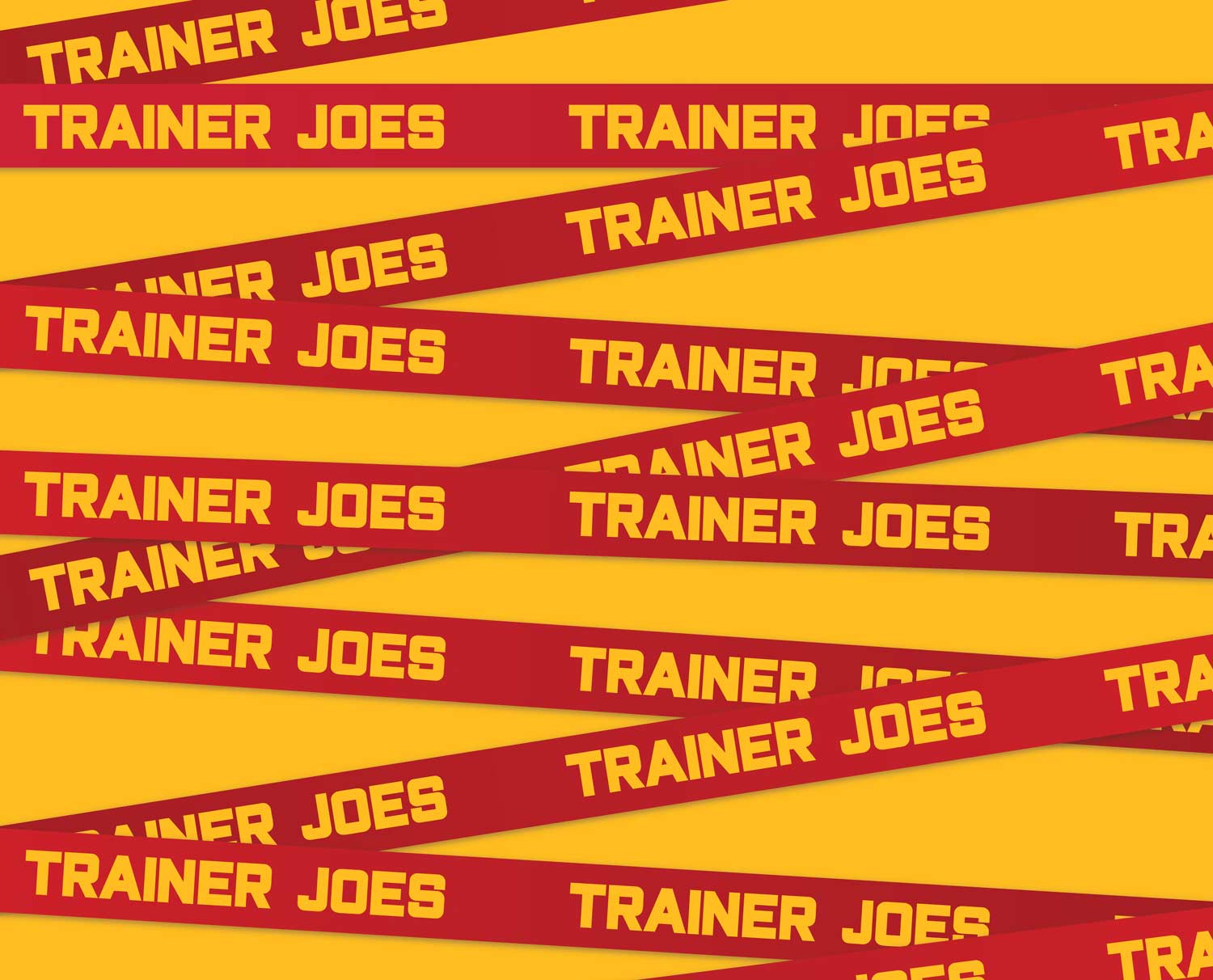 Trainer Joes Gym